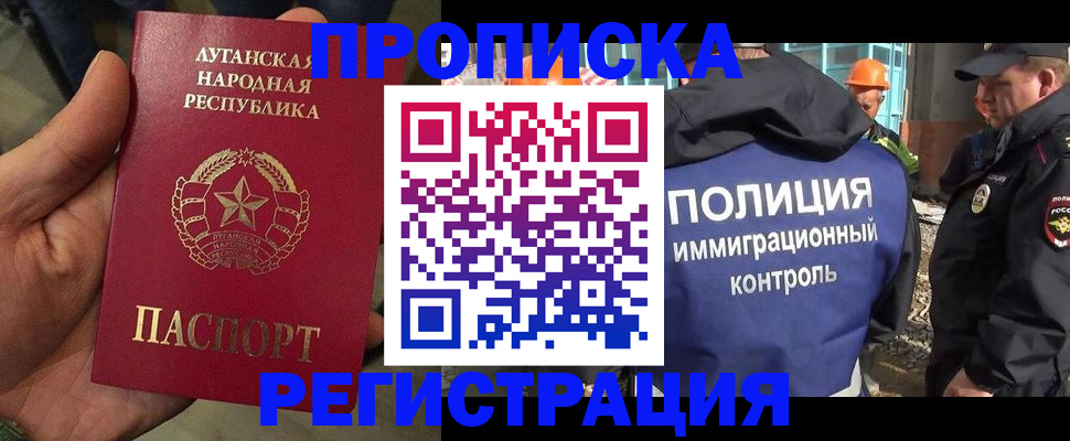 прописка поиск в Котово